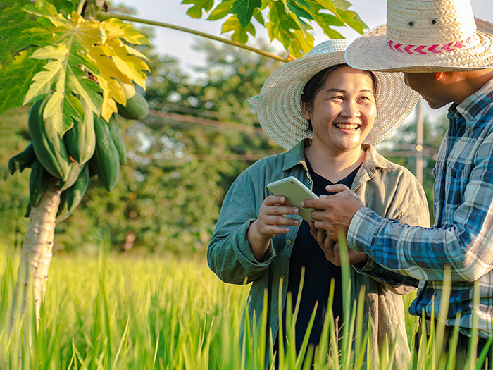 Ứng dụng giải pháp chuyển đổi số trong nông nghiệp là gì?