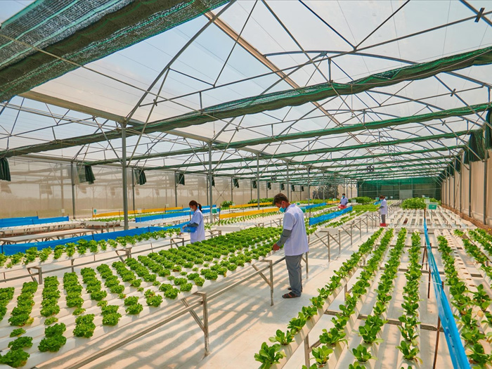 Tổng hợp các lợi ích của nông nghiệp thông minh nổi bật nhất