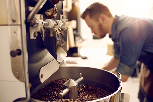 Nguyên nhân và giải pháp cho cây cà phê bị vàng lá