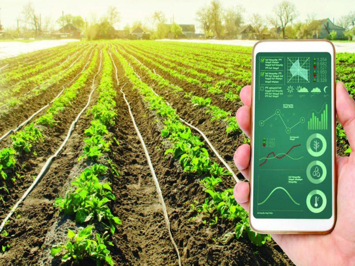 Top phần mềm quản lý trang trại thông minh miễn phí tốt nhất