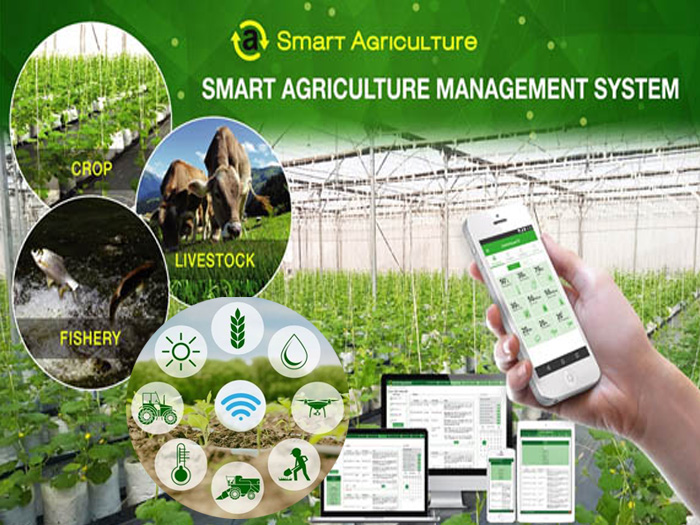 Top phần mềm quản lý trang trại thông minh miễn phí tốt nhất