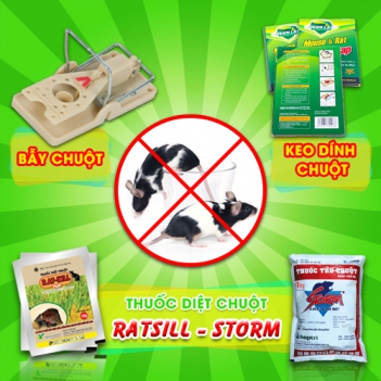 Những loại thuốc diệt chuột tiên tiến nhất có ưu điểm nổi bật gì? - Giới nghệ sỹ
