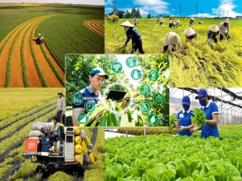 Ứng dụng giải pháp chuyển đổi số trong nông nghiệp là gì? - Giới nghệ sỹ