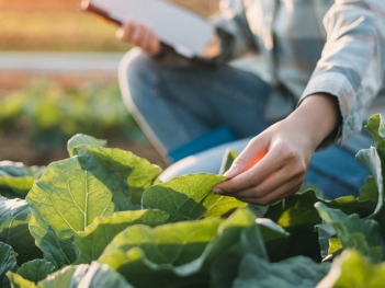 Tổng hợp các lợi ích của nông nghiệp thông minh nổi bật nhất - Giới nghệ sỹ