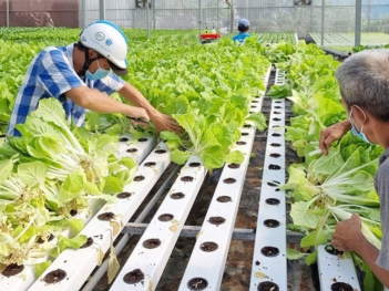 Nhược điểm của nông nghiệp thông minh và giải pháp khắc phục - Giới nghệ sỹ