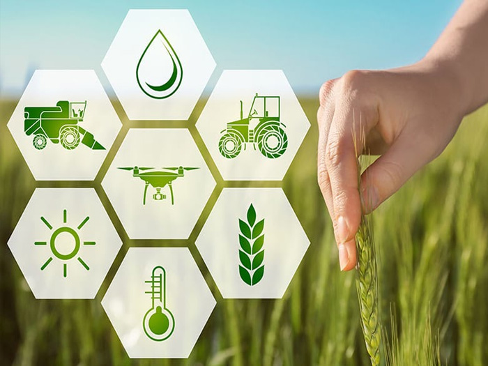 giải pháp nông nghiệp thông minh