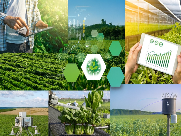 nông nghiệp thông minh